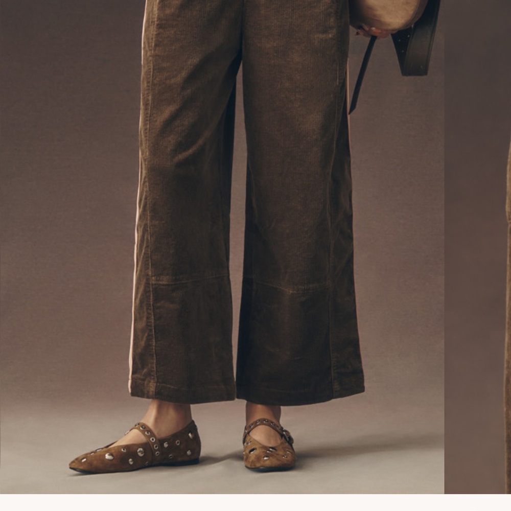 Anthropologie Brown Corduroy Pants with Pink Stripes - Picture 3 of 4